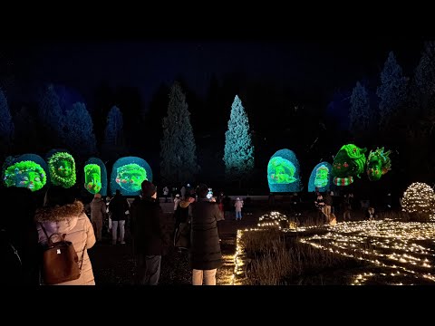 La diretta dell’accensione delle luci di Natale ai Giardini Estensi di Varese.