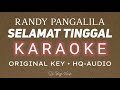 Selamat Tinggal Karaoke - Randy Pangalila
