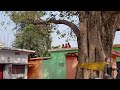 Sunny Leone Sexy HD Video Xxx Miya Khalifa