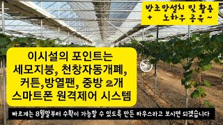스마트한 샤인머스켓 미니연동하우스 시설 & 월동대비 방조망 관리 노하우