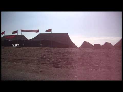 Jonathan Fitoussi - Surimpression