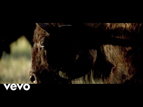 Mumford & Sons - Mumford & Sons and National Geographic present: Rose of Sharon