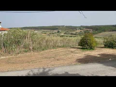 The First Battle: The Battle of Vimeiro: August 1808.