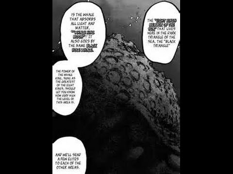Toriko chapter 326 review- Whale king moon!?! and starjun!!