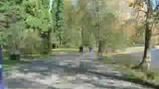 Race Around Greenlake - Timelapse - Breeders S.O.S.