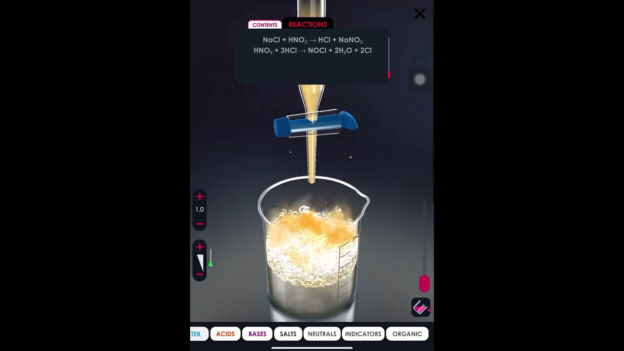 NaCl + HNO3 (Reactor)