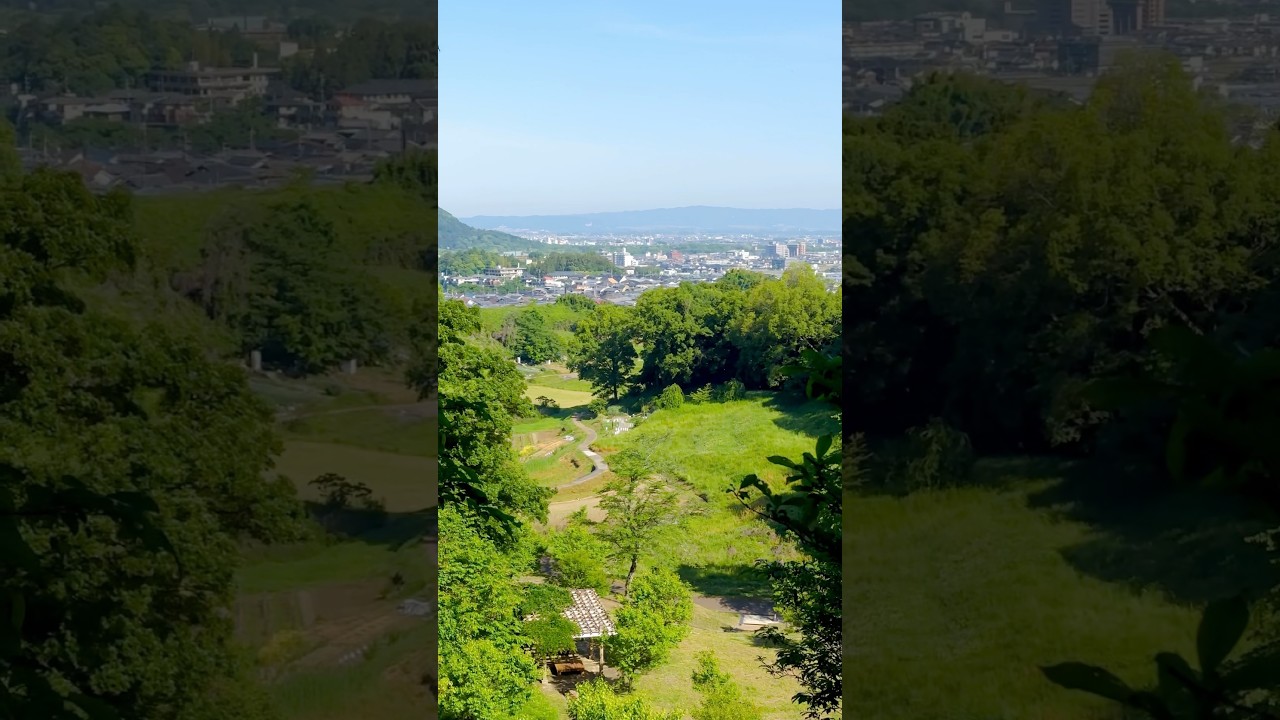 YouTube Short thumbnail