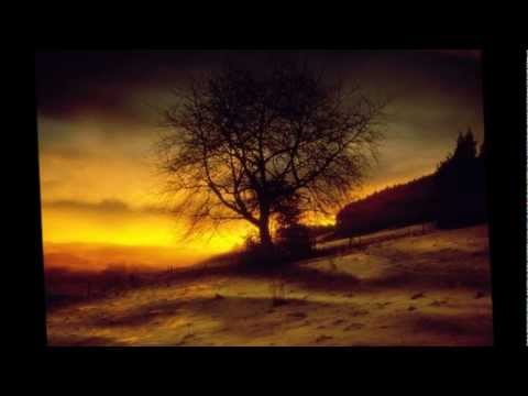 Kamil Staszowski - Ave Maria