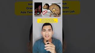 Download lagu INILAH 3 ANAK YANG DI KUTUK ORANTUANYA #pengetahuan #shorts mp3 Download lagu INILAH 3 ANAK YANG DI KUTUK ORANTUANYA #pengetahuan #shorts mp3