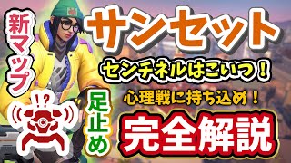 【VALORANT】必須センチネル枠！？防衛 完全解説キルジョイ/サンセット【ヴァロラント】