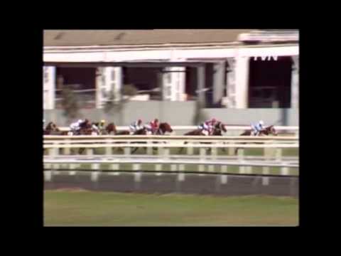 1987 Golden Slipper - Marauding