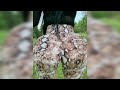 HOT BOOTY TWERK COMPILATION Hot Ass Twerk Compilation 11