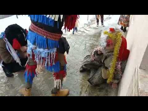 Ursi din Chilia Jud Neamt