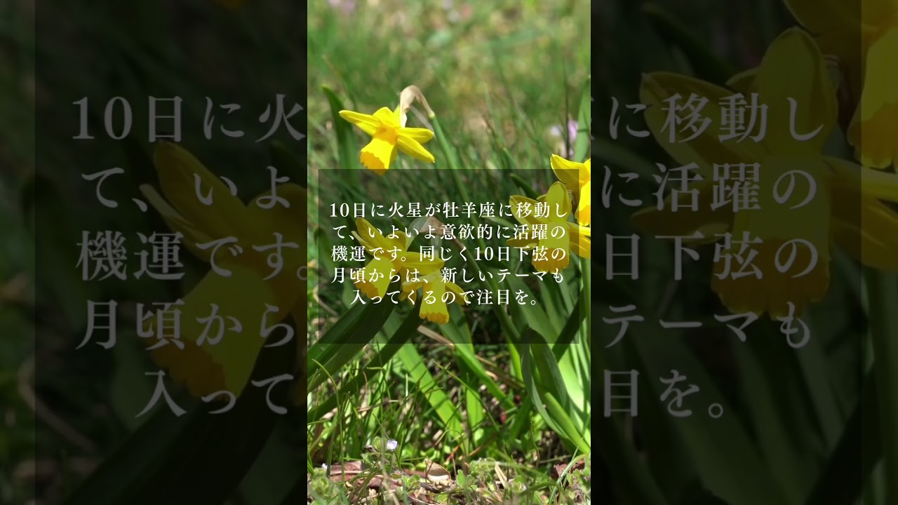 この週、後半から一気に動く　12星座別メッセージ　#12星座占い #星座別メッセージ #占い