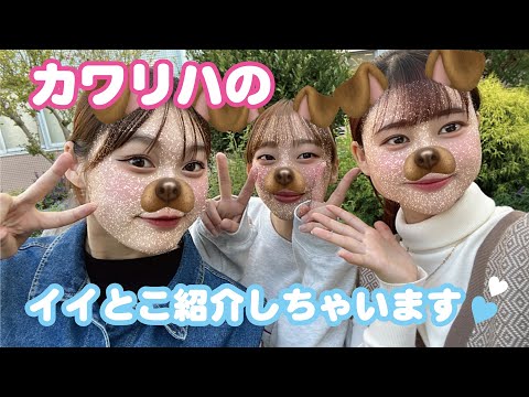 リハビリテーション学科 【大学紹介】カワリハ
