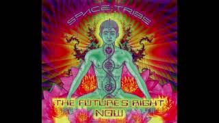 Space Tribe - The Future's Right Now (1998) HQ FULL ALBUM. GOA TRANCE. PSY TRANCE