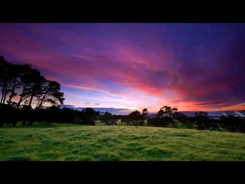 Sweet Lovin' (Extended Mix) Sigala feat Bryn Christopher (Toxic hq)