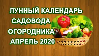 Финский рыболовный календарь на апрель 2020