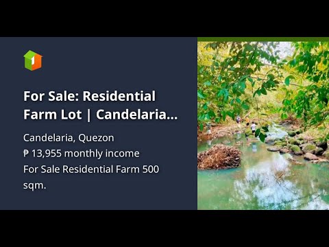 For Sale: Residential Farm Lot | Candelaria, Quezon