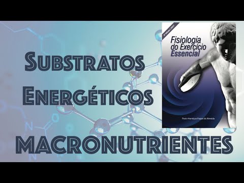 Substratos Energéticos - MACRONUTRIENTES