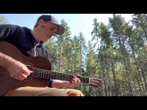 Walking My Troubles Away - Blind Boy Fuller