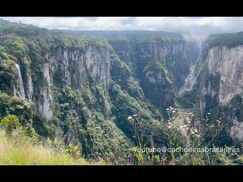 Cachoeira das Andorinhas, Cambará do Sul - RS