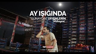 Gündüz uyuyor, gece çalışıyorlar... Toptancı hallerinde çalışanların h