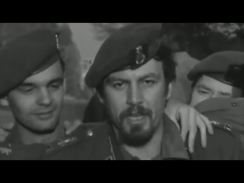 Overlijden Zjef Vanuytsel (31/12/2015 - Journaal 19u)