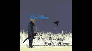 SkyBlew - Good Gracious [Prod. Brian Flores]