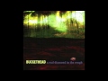 (Full Album) Buckethead A Real Diamond in the Rough