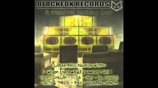 ILL EFFECT - Sinister /// A Growing Concern V/A #003 /// Blackfox Records