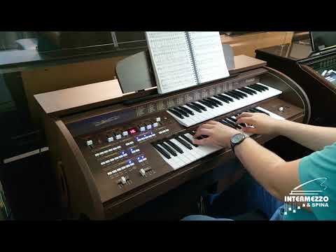 Hino - 206 “Tu és o Amigo” | Órgão Acordes Premium | Gabriel Sanches