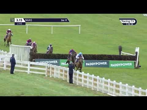 Amazing horse race finish: Is this the best jockey recovery EVER?