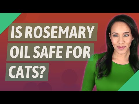 Is rosemary oil safe for cats?