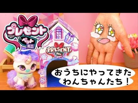 ♡プレゼントペットミニ♡お家にやってきたわんちゃんたち！