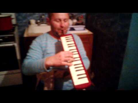 Ghiata Ciprian - Melodica flasneta fermecata .