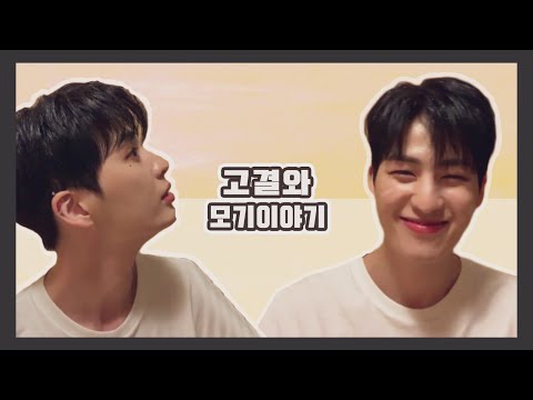 [업텐션/고결] 고결와 모기이야기(?)