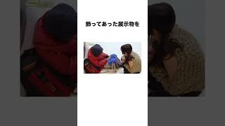 ニュージーンズときむの雑学　#newjeans #kpop #雑学 #おすすめ #ニュージーンズ #韓国アイドル