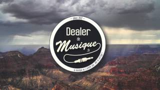 Mighty Oaks - Driftwood Seat (Markus Toepfer Edit)