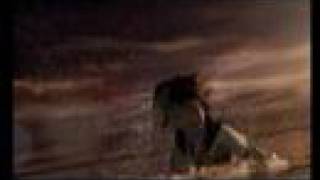 Kingdom hearts - Still Breathing