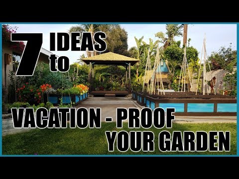 7 Ideas to Water Your Garden Plants While on Vacation