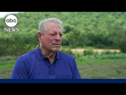 Former VP Al Gore marks 20 years since ‘An Inconvenient Truth’