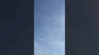 Dreamin that I&#39;m free 🗝⛓