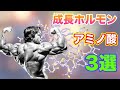 成長ホルモン分泌を促進させるアミノ酸3選【筋トレ】