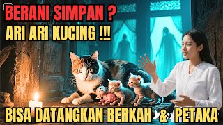 Download lagu Keajaiban dan kesaktian ari ari kucing mp3 Download lagu Keajaiban dan kesaktian ari ari kucing mp3