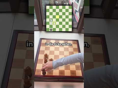 Matt nur mit zwei Springern #schach #chess #schachlernen #schachmatt