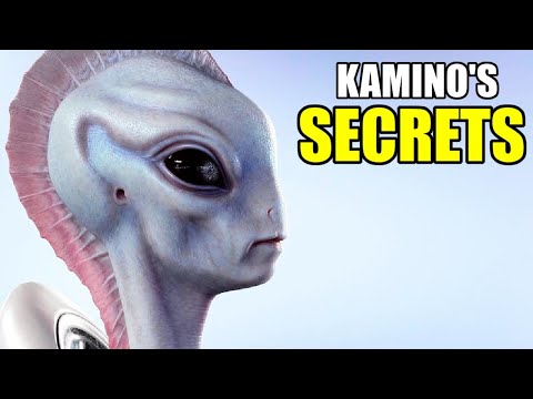 The Kaminoans: Star Wars’ Most Dangerous Perfectionists
