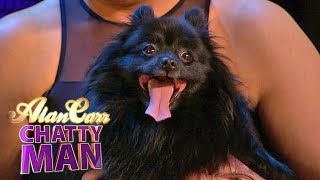 BGT Hypnotic dog - Alan Carr: Chatty Man