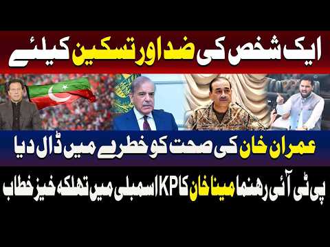 ایک شخص کی ضد نے عمران خان کی صحت کو خطرے میں ڈال دیا، مینا خان