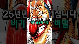 원피스 25년만에 밝혀지는 버기 출생의비밀